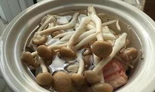 做蘑菇的时候要不要用热水焯一下 蘑菇要不要焯水